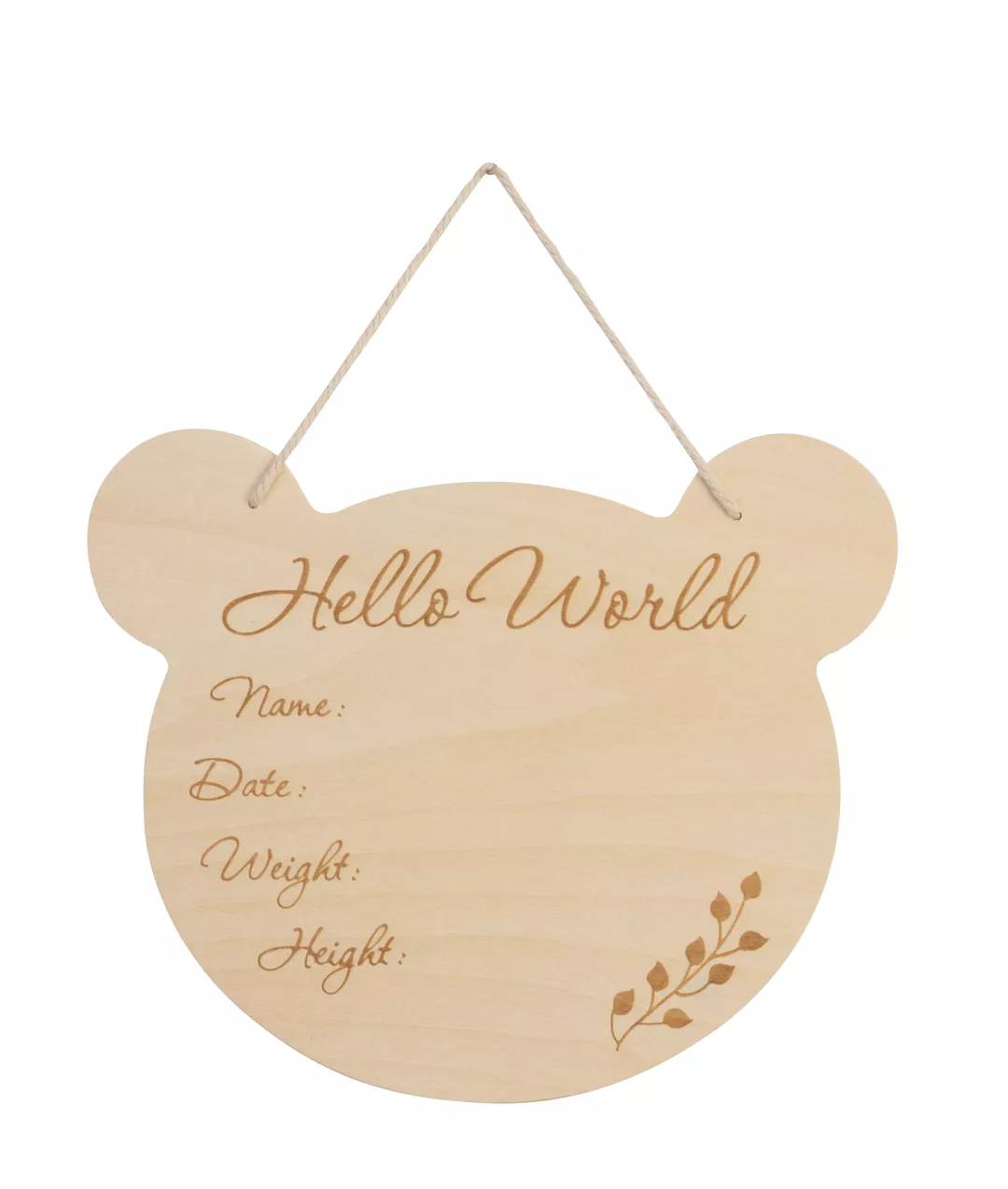 Eco Friendly Bear Wall Hanger